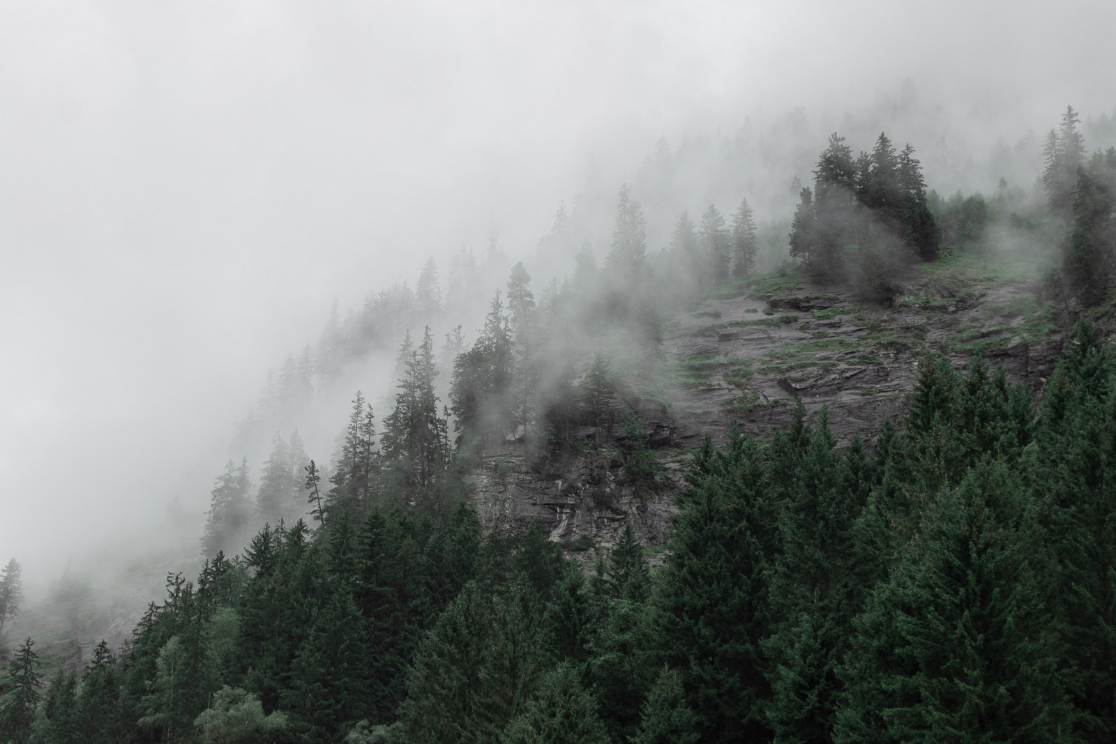 Berg mit Bäumen und Nebel am Stillup Stausee