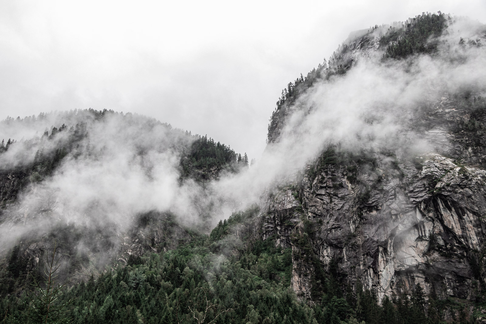 Berg mit Bäumen und Nebel am Stillup Stausee